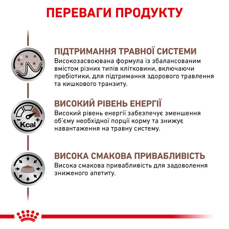 Royal Canin Gastrointestinal Feline сухой корм для котов при нарушениях пищеварения 4 кг - фото 4