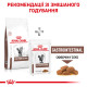 Royal Canin Gastrointestinal Feline сухой корм для котов при нарушениях пищеварения 4 кг - фото 8