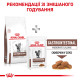 Royal Canin Gastrointestinal Moderate Calorie Feline сухой корм для котов с проблемами пищеварения и избыточным весом, 2 кг - фото 6
