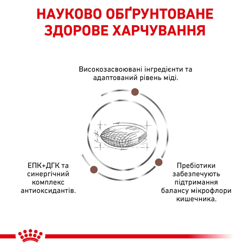 Royal Canin Hepatic Canine сухий корм для собак із захворюваннями печінки, 1.5 кг - фото 3