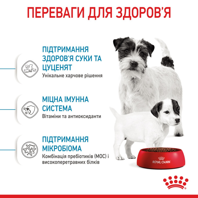 Royal Canin Mini Starter сухий корм для цуценят та вагітних і годуючих собак 1 кг - фото 5