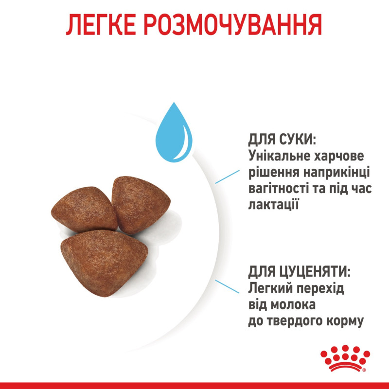 Royal Canin Mini Starter сухий корм для цуценят та вагітних і годуючих собак 1 кг - фото 6