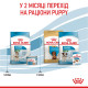 Royal Canin Mini Starter сухий корм для цуценят та вагітних і годуючих собак 1 кг - фото 7