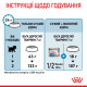 Royal Canin Mini Starter сухий корм для цуценят та вагітних і годуючих собак 1 кг - фото 9
