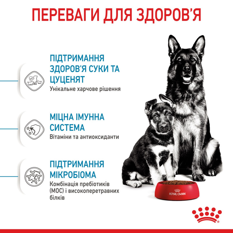 Royal Canin Maxi Starter сухой корм для щенят крупных пород 4 кг - фото 3