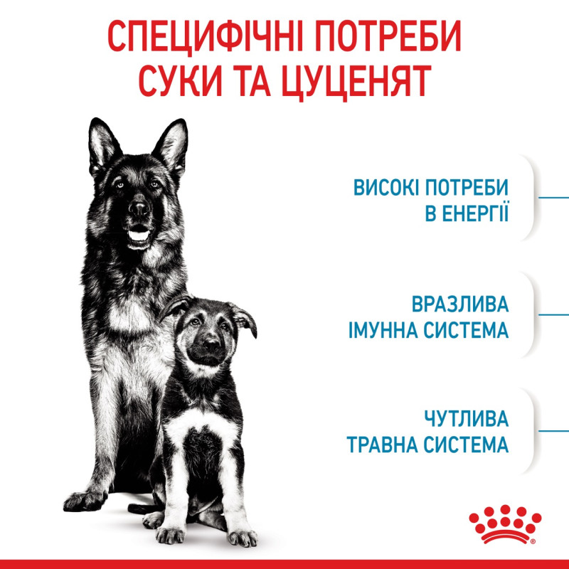 Royal Canin Maxi Starter сухой корм для щенят крупных пород 4 кг - фото 4