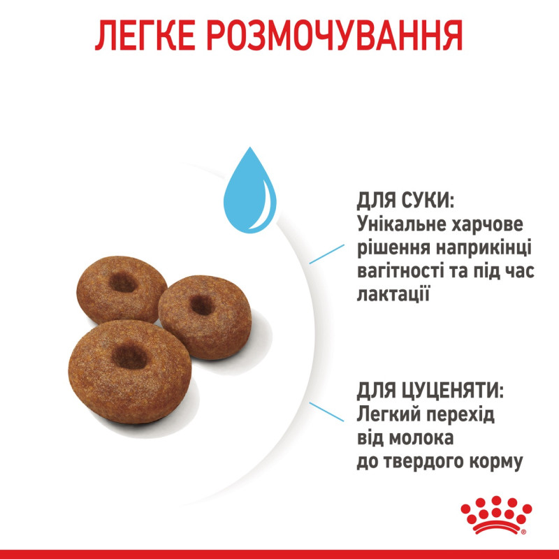 Royal Canin Maxi Starter сухий корм для цуценят великих порід 4 кг - фото 5