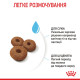 Royal Canin Maxi Starter сухий корм для цуценят великих порід 4 кг - фото 5