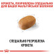 Royal Canin Maltese Adult сухой корм для собак породы мальтезе 0.5 кг - фото 4