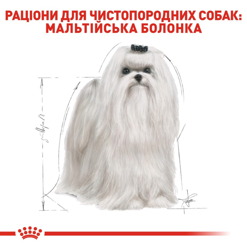Royal Canin Maltese Adult сухий корм для собак породи мальтезе 1.5 кг - фото 3