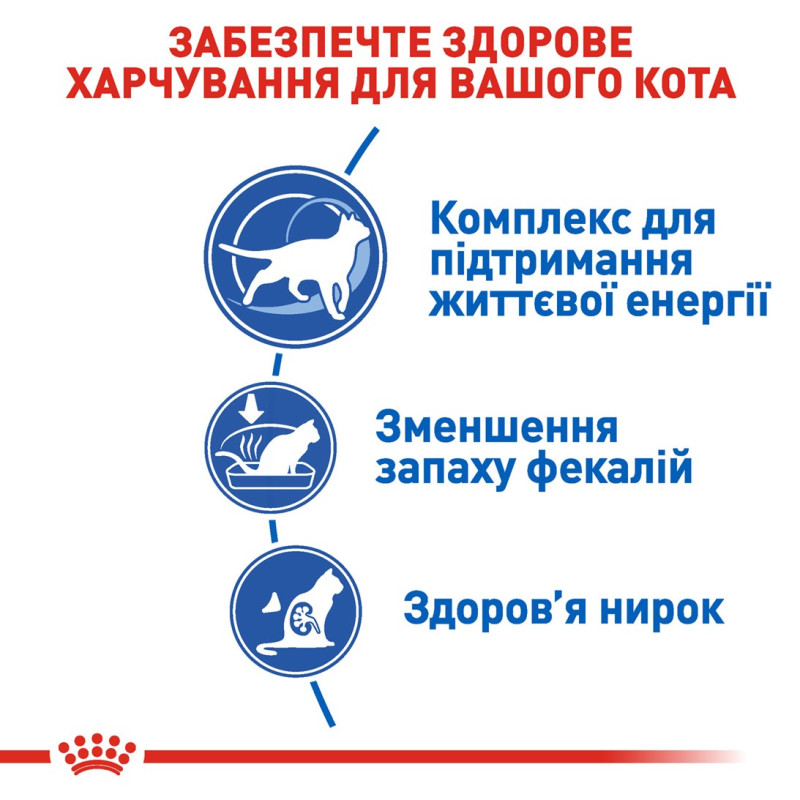 Royal Canin Indoor 7+ сухой корм для пожилых котов, живущих в помещении 1.5 кг - фото 4