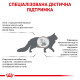 Royal Canin Hepatic Feline сухой корм для котов с заболеваниями печени, 2 кг - фото 2