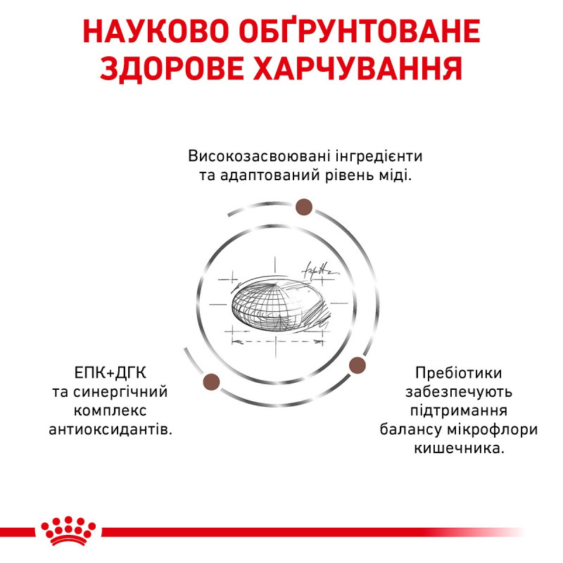 Royal Canin Hepatic Feline сухой корм для котов с заболеваниями печени, 2 кг - фото 3