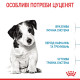 Royal Canin Mini Puppy сухой корм для щенят мелких пород 0.8 кг - фото 3