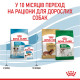Royal Canin Mini Puppy сухой корм для щенят мелких пород 0.8 кг - фото 6
