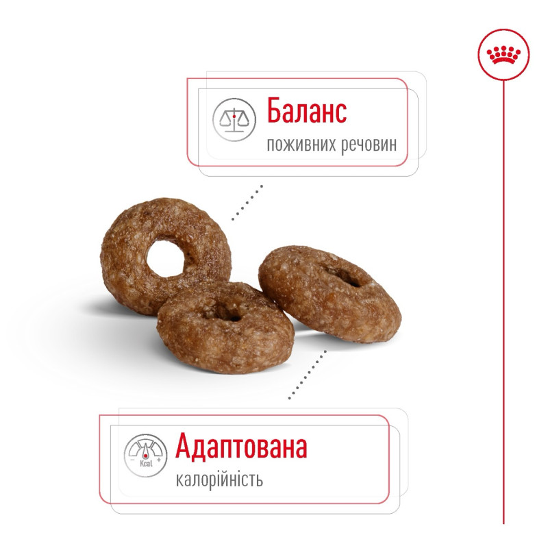 Royal Canin Mini Ageing 12+ сухой корм для пожилых собак мелких пород 0.8 кг - фото 3