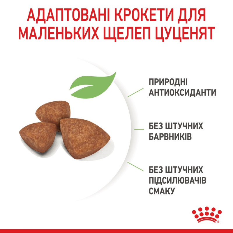 Royal Canin X-Small Puppy сухой корм для щенков малых пород 3 кг - фото 5