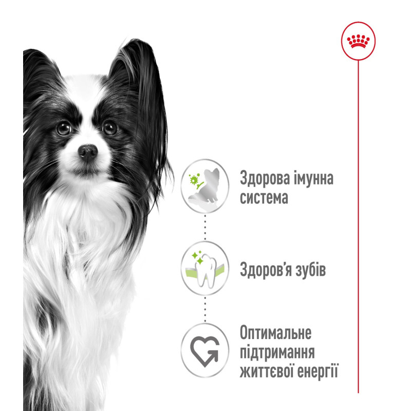 Royal Canin X-Small Adult сухой корм для взрослых собак мелких пород 1.5 кг - фото 2