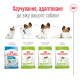 Royal Canin X-Small Adult сухой корм для взрослых собак мелких пород 1.5 кг - фото 6