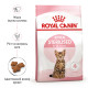 Royal Canin Kitten Sterilised сухой корм для стерилизованных котят 400 гр - фото 2