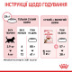 Royal Canin Kitten Sterilised сухой корм для стерилизованных котят 400 гр - фото 6