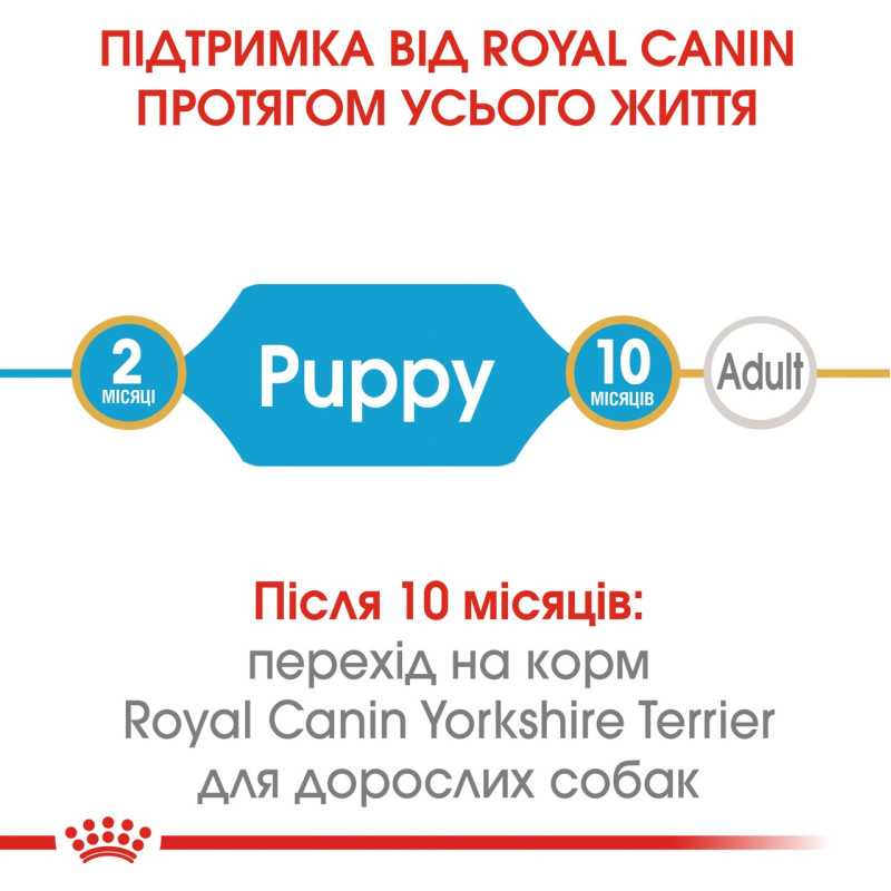 Royal Canin Yorkshire Terrier Puppy сухой корм для щенят породы йоркширский терьер 7.5 кг - фото 3
