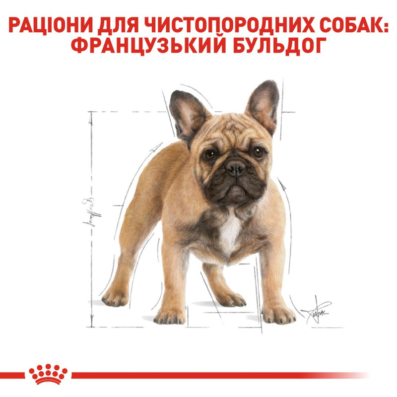 Royal Canin French Bulldog сухой корм для собак породы французский бульдог 3 кг - фото 3