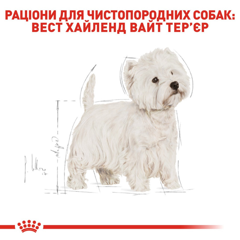 Royal Canin Westie сухой корм для собак породы Вест-хайленд-уайт-терьер 3 кг - фото 3