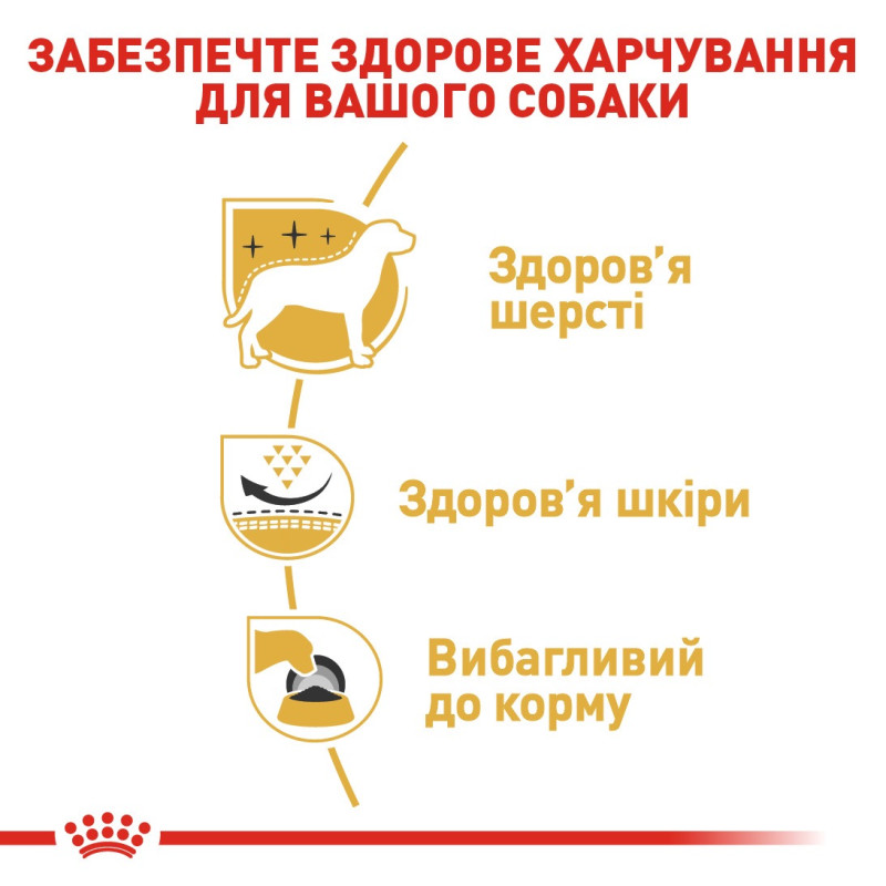 Royal Canin Westie сухой корм для собак породы Вест-хайленд-уайт-терьер 3 кг - фото 5