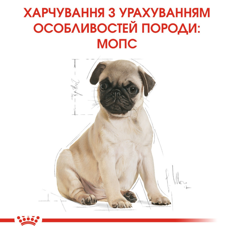Royal Canin Pug Puppy сухой корм для щенят породы мопс 1.5 кг - фото 6