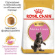 Royal Canin Maine Coon Kitten сухой корм для котят породы мейн-кун 2 кг - фото 2
