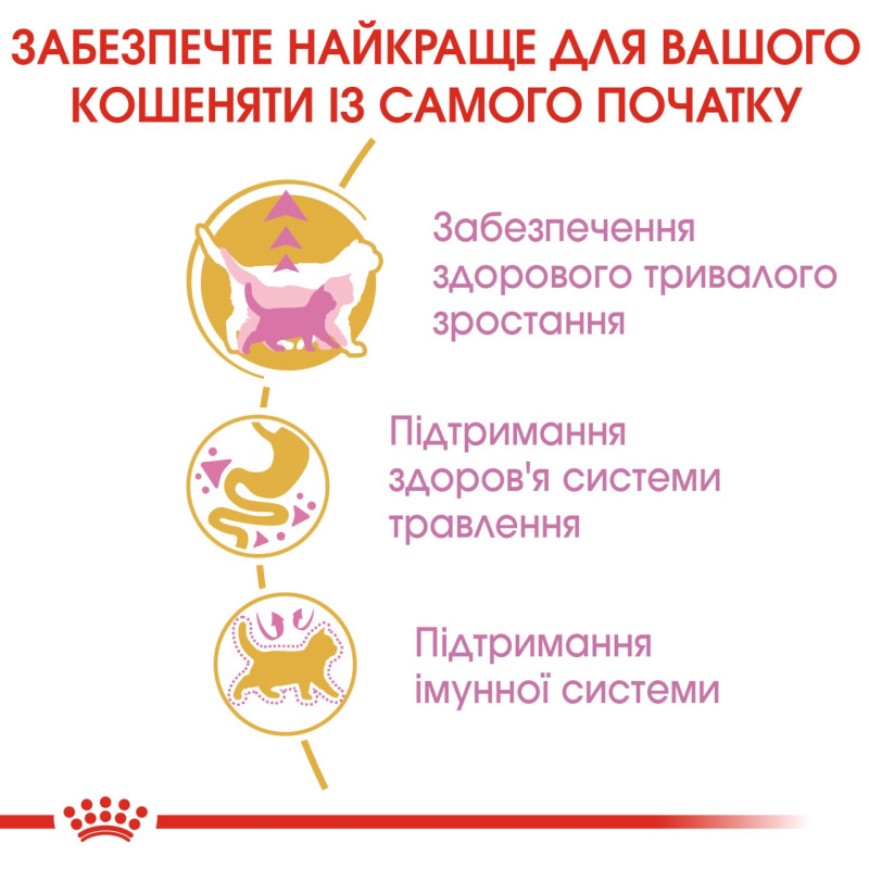 Royal Canin Maine Coon Kitten сухой корм для котят породы мейн-кун 2 кг - фото 5