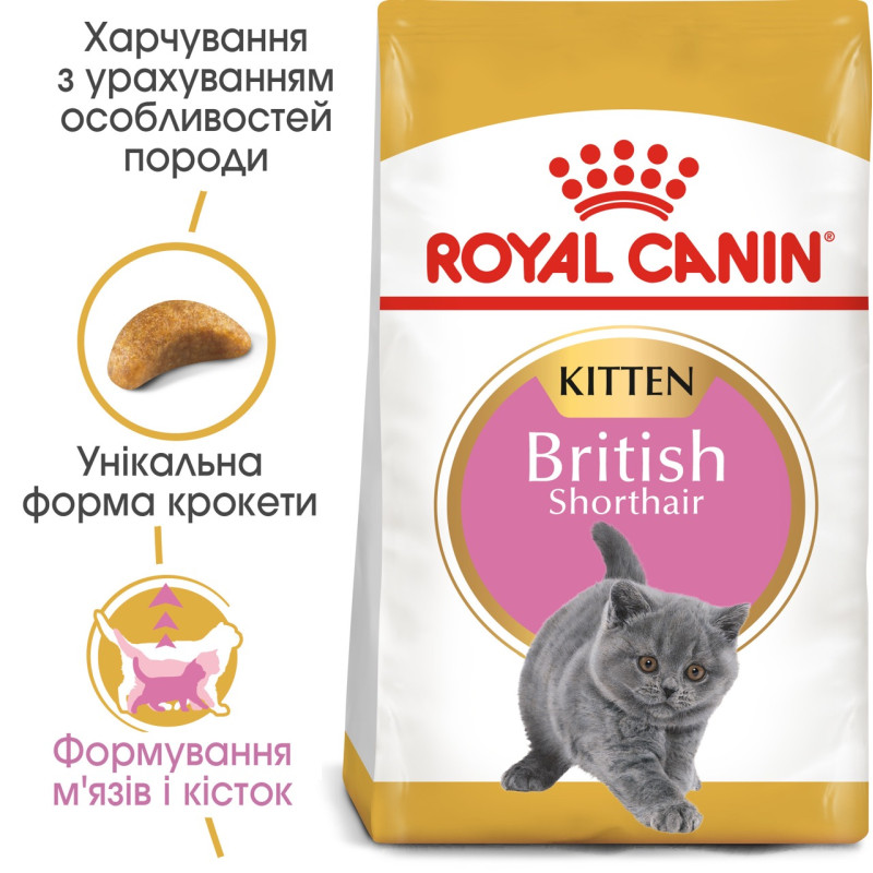 Royal Canin British Shorthair Kitten сухой корм для котят породы британец 2 кг - фото 2