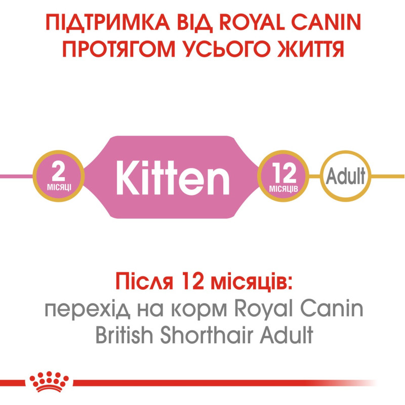 Royal Canin British Shorthair Kitten сухой корм для котят породы британец 2 кг - фото 3