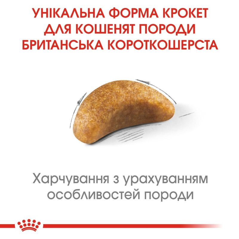 Royal Canin British Shorthair Kitten сухой корм для котят породы британец 2 кг - фото 4