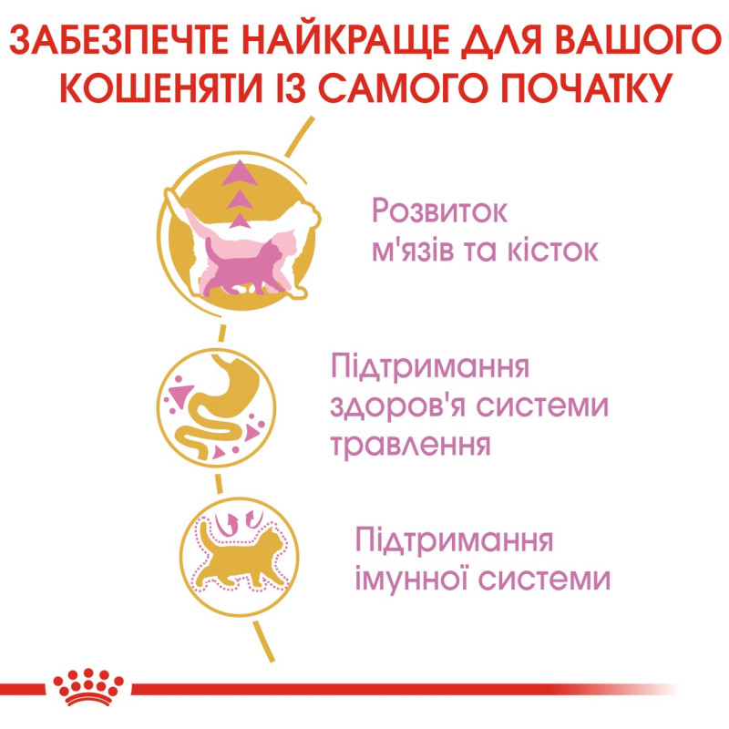 Royal Canin British Shorthair Kitten сухой корм для котят породы британец 2 кг - фото 5
