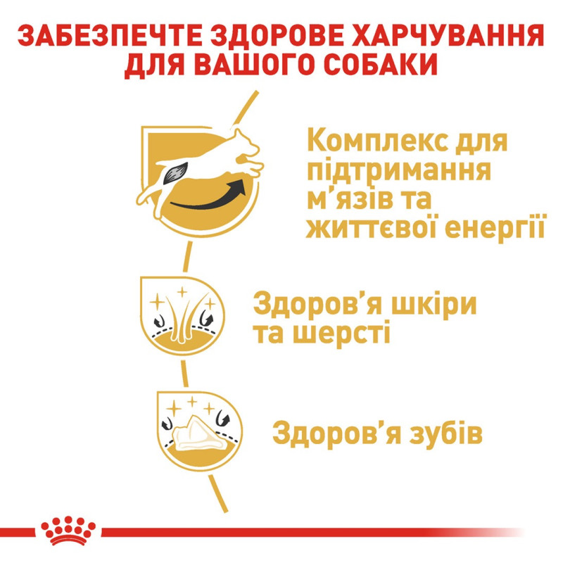 Royal Canin Jack Russell Terrier Adult сухой корм для собак породы джек рассел 1.5 кг - фото 5