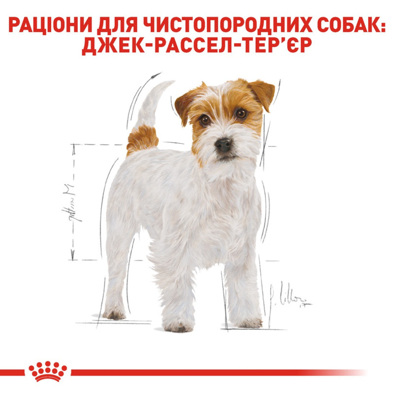 Royal Canin Jack Russell Terrier Adult сухой корм для собак породы джек рассел 7.5 кг - фото 3