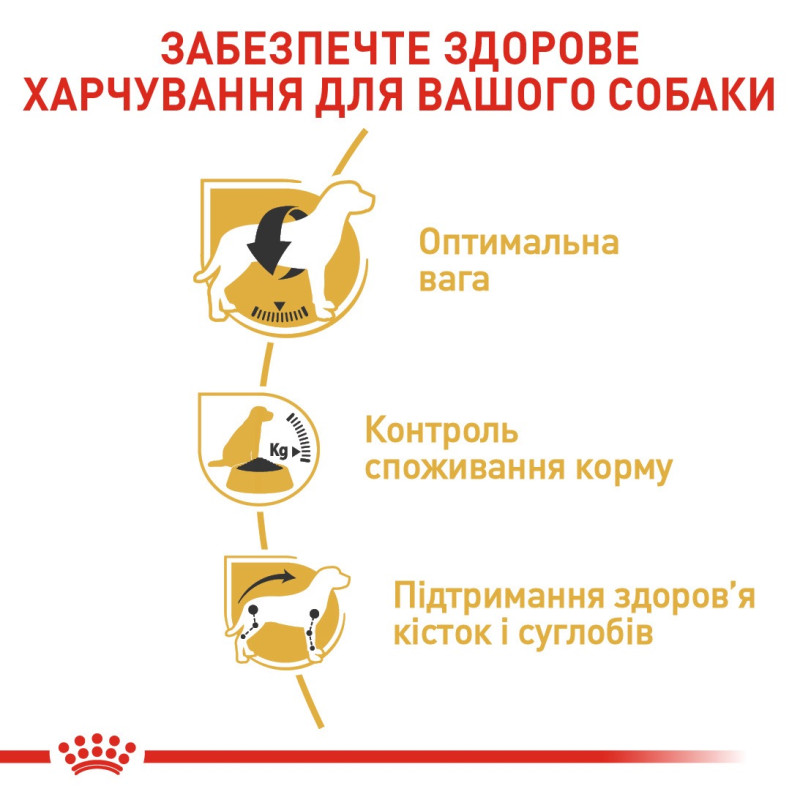 Royal Canin Beagle Adult сухий корм для собак породи бігль 3 кг - фото 4