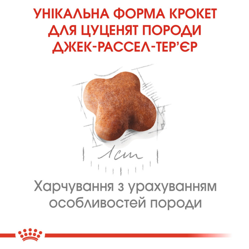 Royal Canin Jack Russell Terrier Puppy сухий корм для цуценят породи джек рассел 1.5 кг - фото 3