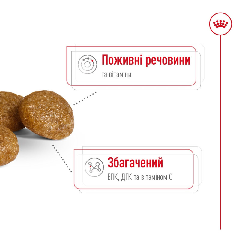 Royal Canin X-Small Adult 8+ сухой корм для пожилых собак мелких пород 3 кг - фото 3