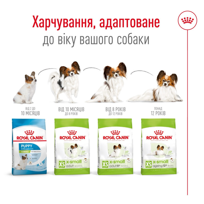 Royal Canin X-Small Adult 8+ сухой корм для пожилых собак мелких пород 3 кг - фото 5