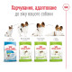 Royal Canin X-Small Adult 8+ сухой корм для пожилых собак мелких пород 3 кг - фото 5