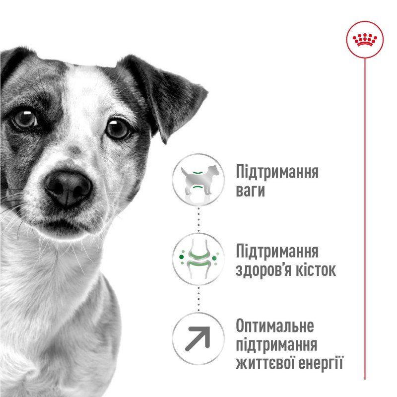 Royal Canin Mini Adult 8+ сухой корм для стареющих собак мелких пород 0.8 кг - фото 2