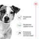 Royal Canin Mini Adult 8+ сухой корм для стареющих собак мелких пород 0.8 кг - фото 2