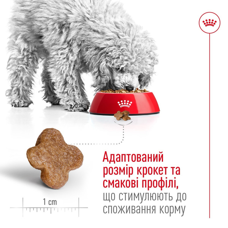 Royal Canin Mini Adult 8+ сухой корм для стареющих собак мелких пород 0.8 кг - фото 3