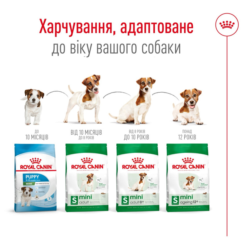 Royal Canin Mini Adult 8+ сухой корм для стареющих собак мелких пород 0.8 кг - фото 4