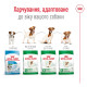 Royal Canin Mini Adult 8+ сухой корм для стареющих собак мелких пород 0.8 кг - фото 4
