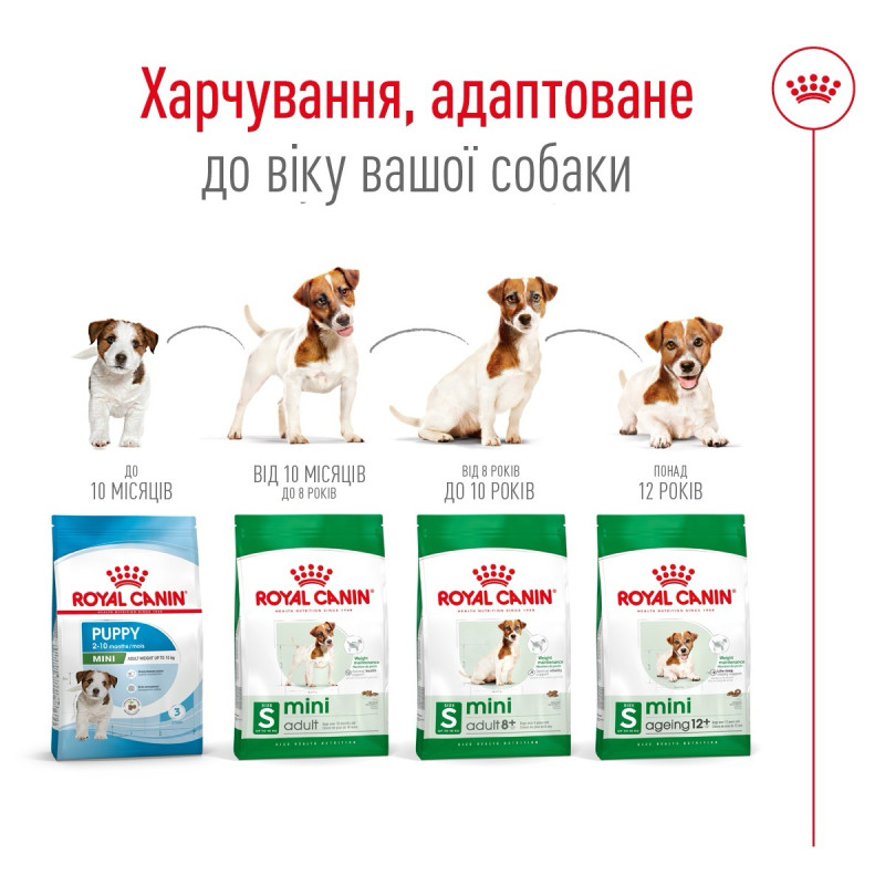 Royal Canin Mini Adult 8+ сухой корм для стареющих собак мелких пород 0.8 кг - фото 6