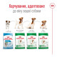 Royal Canin Mini Adult 8+ сухой корм для стареющих собак мелких пород 0.8 кг - фото 6